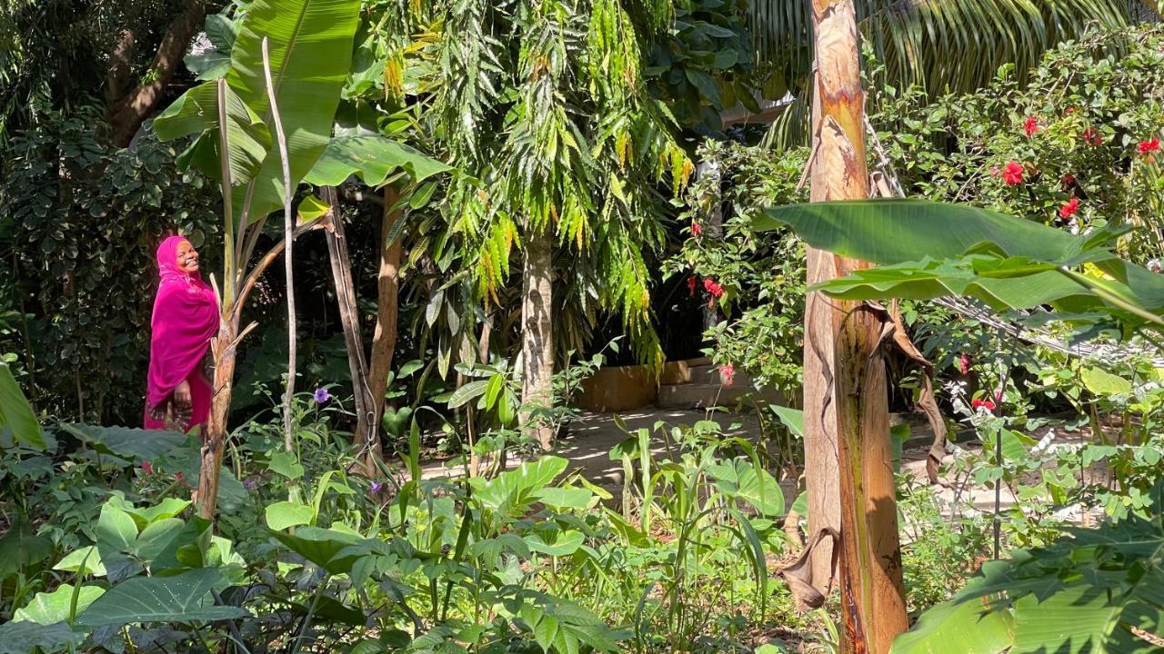 Atii Garden Bungalows Nungwi Exterior foto